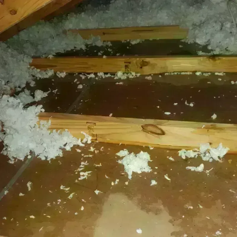 Attic Water Damage in Morgan County, KY